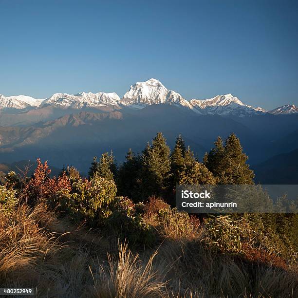 Vista Desde Poonhill Nepal Foto de stock y más banco de imágenes de Aire libre - Aire libre, Asia, Aventura
