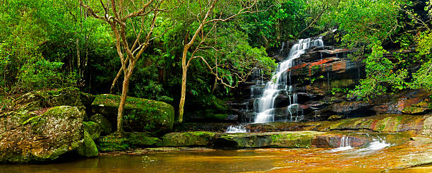 워터풀-빠삐용 - rainforest australia river waterfall 뉴스 사진 이미지