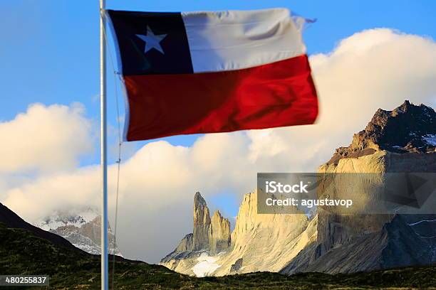 Bandeira Chilena Sobre Torrer Del Painechile América Do Sul - Fotografias de stock e mais imagens de Bandeira Chilena