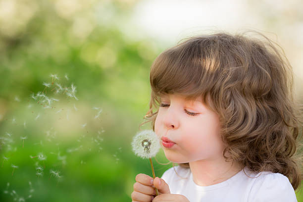 istock Happy child blowing dandelion 480256973