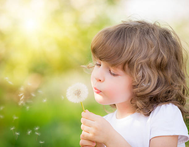 Happy child blowing dandelion stock photo