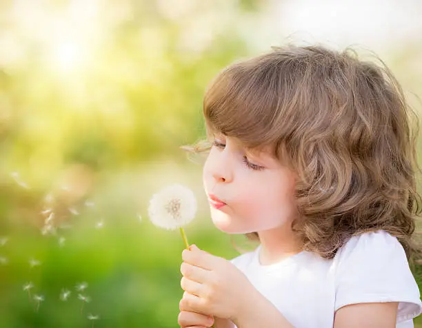 Photo of Happy child blowing dandelion