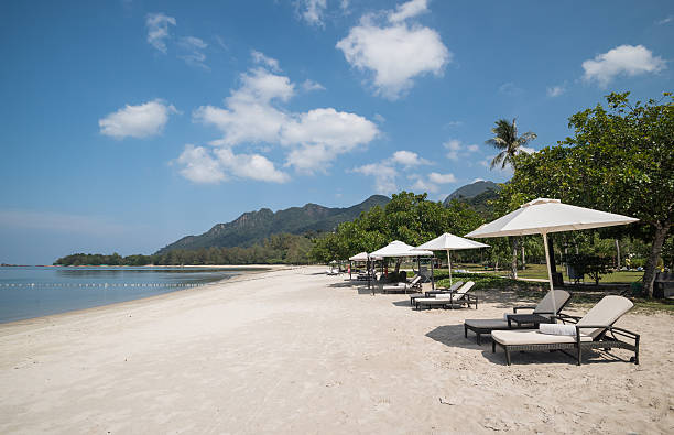 A sunny beach of white and on a tropical island,  with a line of inviting sun beds in the shade of sun umbrellas providing perfect relaxation for a romantic luxury holiday