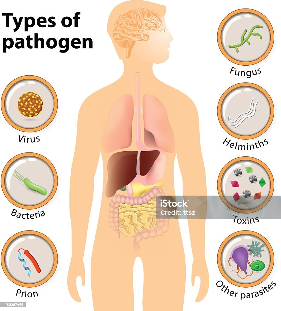 Pathogens Look Like Pathogen Stock Illustration - Download Image Now - People, 2015 ...