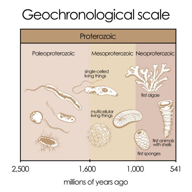 geochronological scale. часть 2 — proterozoic eon - precambrian time stock illustrations