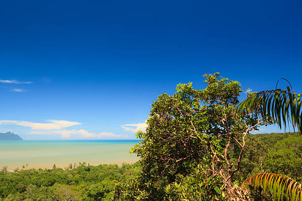 istock Tropical landscape over jungle and hills 480275902