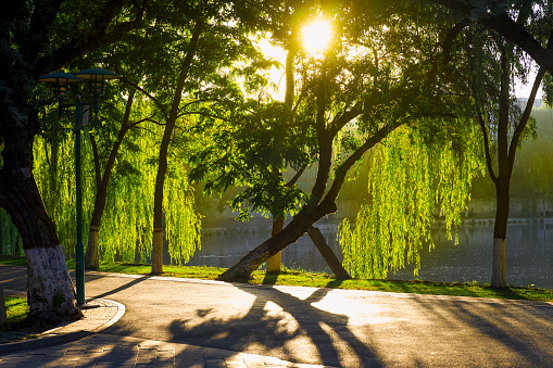 Morning time at Zhongshan Park of Yin Chuan, Ningxia province, China.