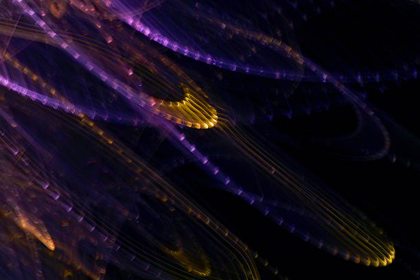 istock Light painting, Fiber Optic, digital art 480276836