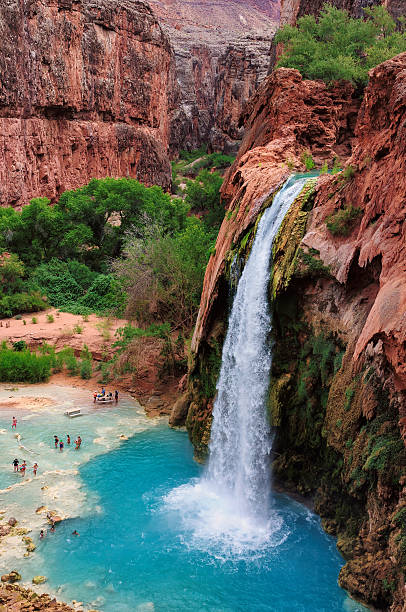 The best waterfalls in the Grand Canyon, Havasu Falls The best waterfalls in the United States in the Grand Canyon and flow with bright turquoise colored water. Havasu Falls, Supai, Arizona havasupai indian reservation stock pictures, royalty-free photos & images