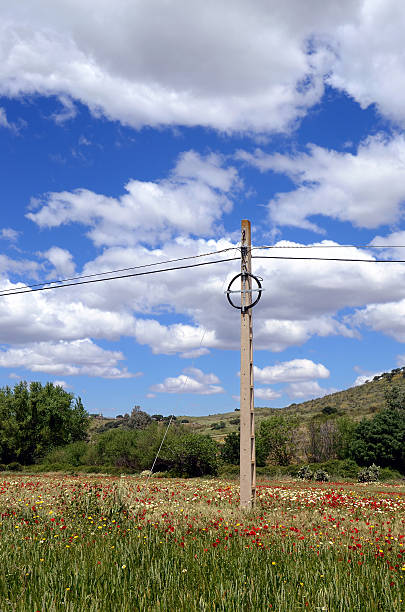 paisaje con cemento posterior - flower red poppy sky fotografías e imágenes de stock