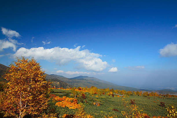 istock colorful  leaves in Hachimantai 480289953