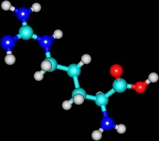 arginina budowa molekularna na czarnym tle - molecule amino acid arginine molecular structure zdjęcia i obrazy z banku zdjęć