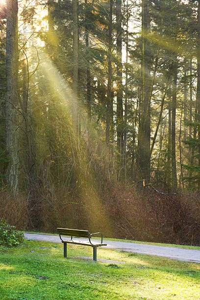 istock Bench on the road in green park 480291059