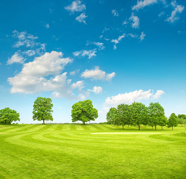 istock Golf course. Spring field with green grass and blue sky 480291544