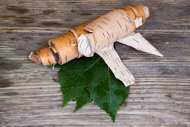 istock green leaves and birch bark on a wooden background 480295934