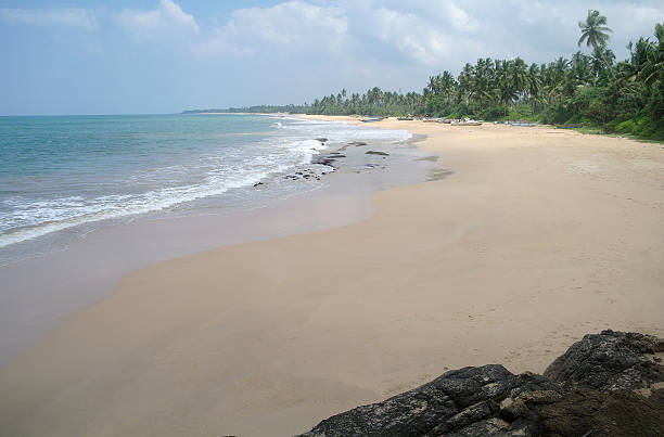 istock Picturesque  tropical beach. Sri Lanka 480296492