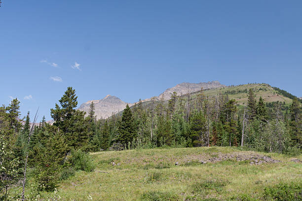 istock Beautiful countryside - Stock image 480296996