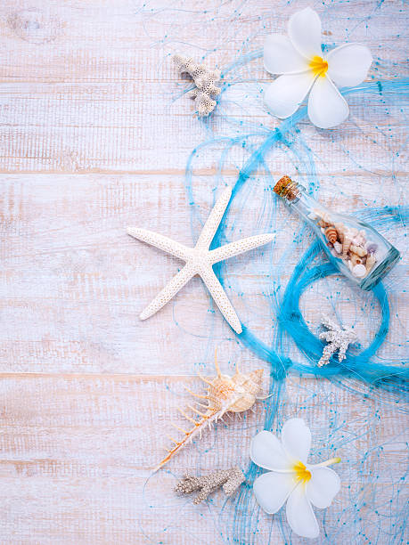 istock Summer setting up on wooden panel for summer blackground. 480305692