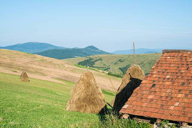 istock Landscape in the Ukrainian Carpathians 480307384