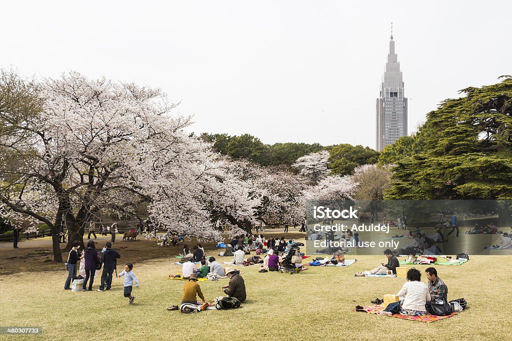 Sakura in Tokyo, Japan Tokyo, Japan - March 23, 2013: Japanese people is sitting in Shinjukugyoen park seeing Sakura blossom at Shinjuku, Tokyo, Japan Beautiful People Stock Photo