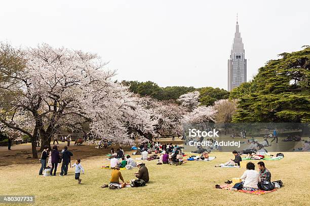 Sakura In Tokyo Japan Stock Photo - Download Image Now - Beautiful People, Beauty, Beauty In Nature