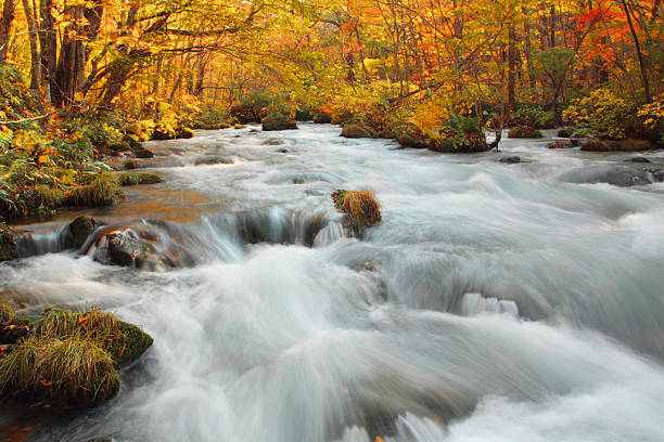 istock Autumn Colors of Oirase River 480312601