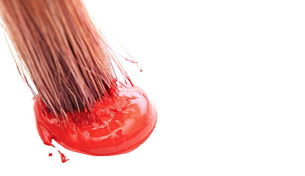 istock art paint brush and red color 480313161