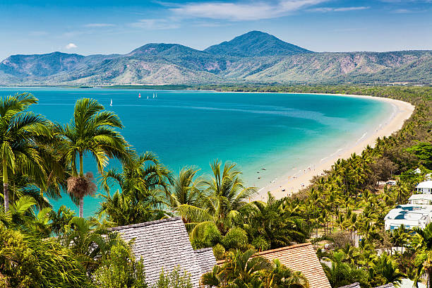 Port Douglas beach and ocean on sunny day, Queensland Port Douglas beach and ocean on sunny day, Queensland, Australia cairns australia photos stock pictures, royalty-free photos & images