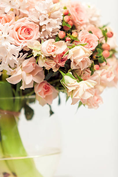 istock pastel pink flowers against white background 480317952