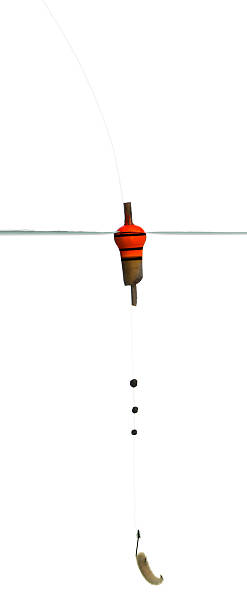 istock Float, fishing line and bait on hook underwater 480319813