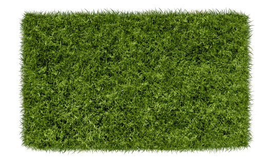 Grass cut out landscape format, stand alone!