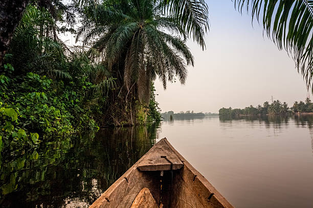 istock Canoe ride in Africa 480325399