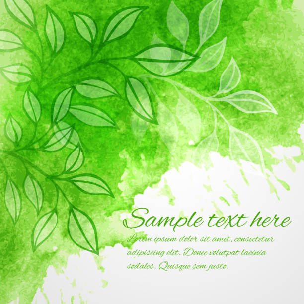Watercolor green leaf design element. Vector illustration vector art illustration