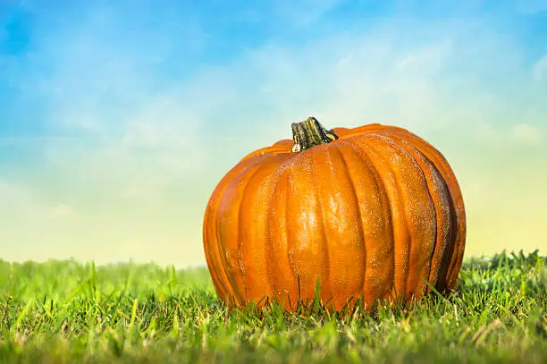Photo of pumpkin on lawn over blue sky background