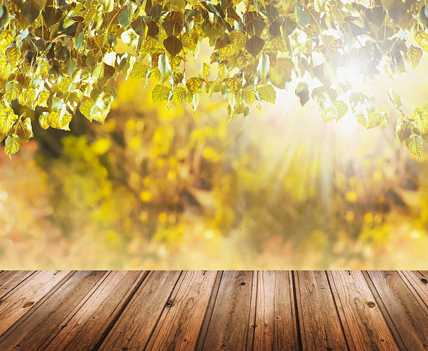istock Background with fall foliage and old wooden table 480330502