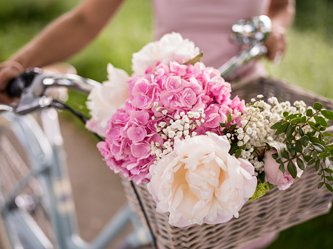 Cropped close-up of pink and white spring flowers in the woven basket of a classic vintage style bicycle