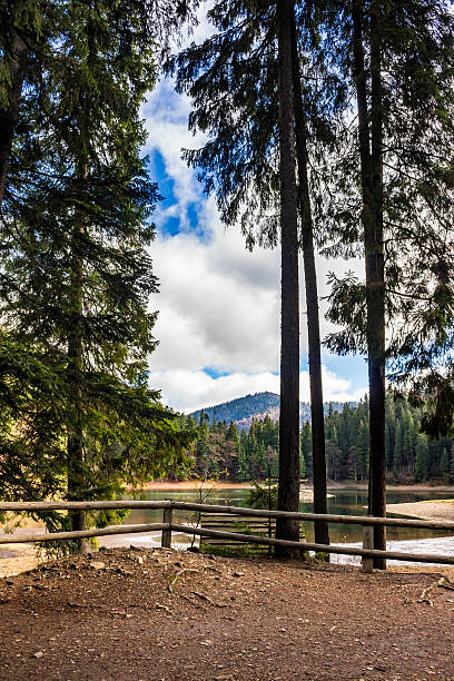 istock pier on mountain Lake near  forest 480332212