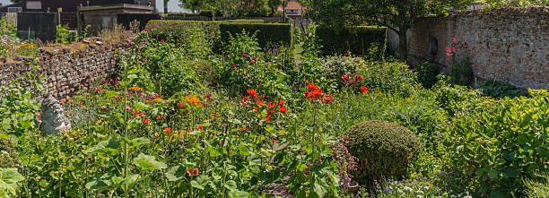 istock Walled Garden with antique gnome 480332506
