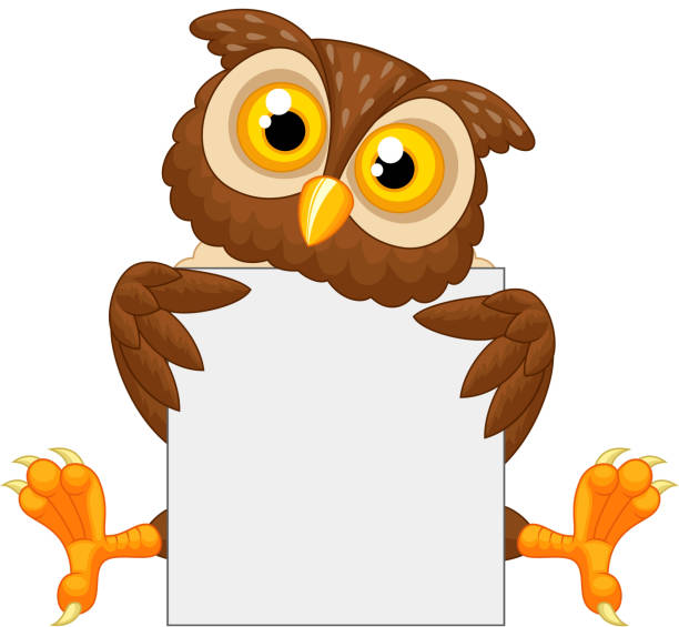 Cute Owl Cartoon Holding Blank Sign Stock Illustration - Download Image Now  - Owl, Sign, Cartoon - iStock