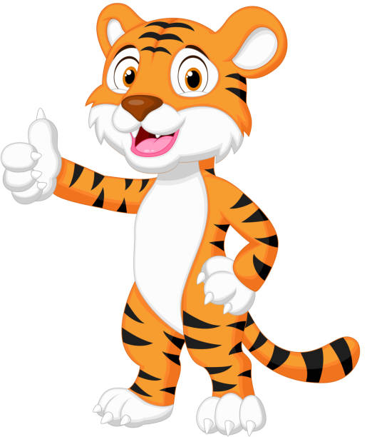 Cute Tiger Cartoon Giving Thumb Up Stock Illustration - Download Image Now  - Tiger, Cartoon, Thumbs Up - iStock