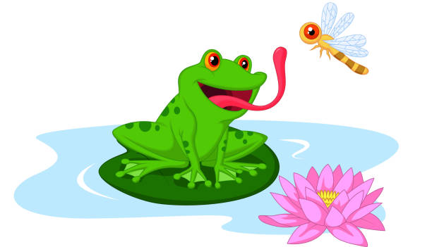 ilustrações, clipart, desenhos animados e ícones de sapo bonito dos desenhos animados assistir dragonfly - frog catching fly water