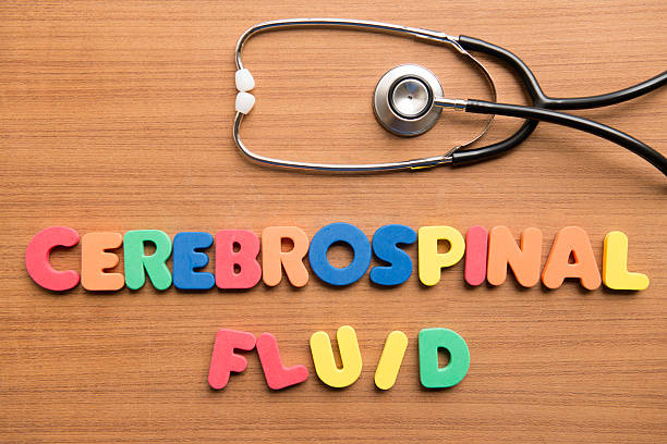 Cerebrospinal fluid (CSF) Cerebrospinal fluid (CSF) colorful word with stethoscope on the wooden background cerebrospinal fluid photos stock pictures, royalty-free photos & images