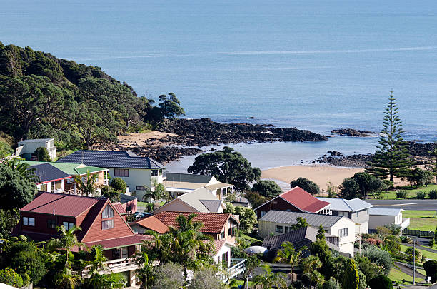 istock Cable bay - New Zealand 480338929
