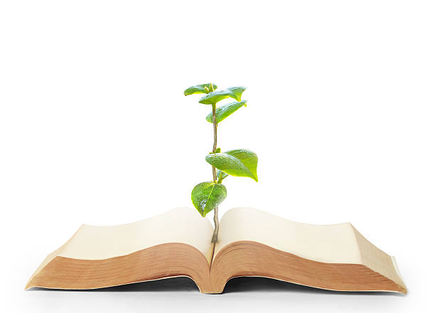 istock book of nature 480339007