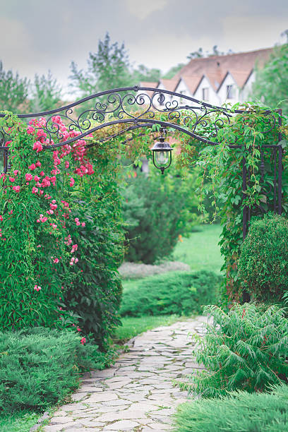 istock Garden and flowers 480339142