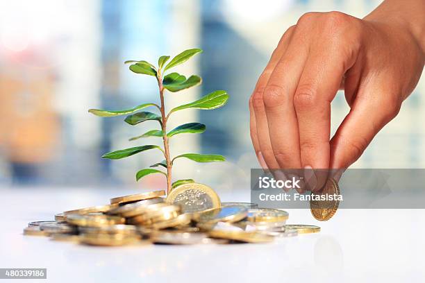 Successful Investment Stock Photo - Download Image Now - 2015, Banking, Branch - Plant Part