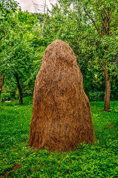 romeno haycock-palha amontoado de feno - romanian hay imagens e fotografias de stock