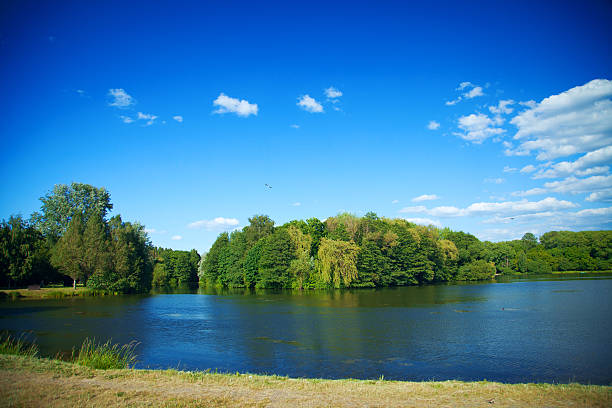 istock River flowing in the woods on a sunny summer day. 480342778