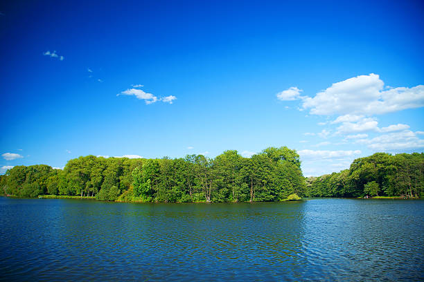 istock River flowing in the woods on a sunny summer day. 480342796