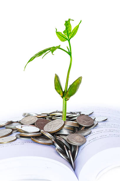 istock Plant growing on Baht coins 480342905